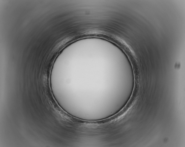 X0000097470825200802220827