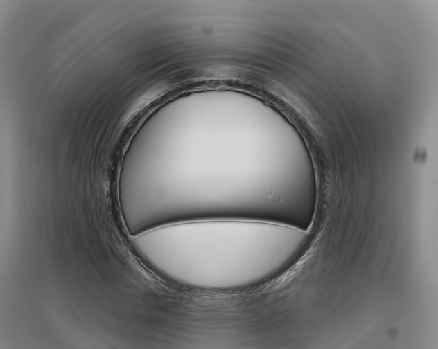X0000097470826200802220827