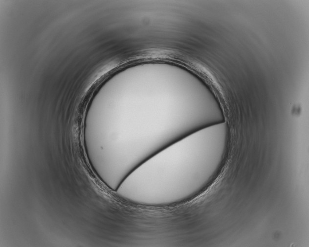 X0000097470827200802220827