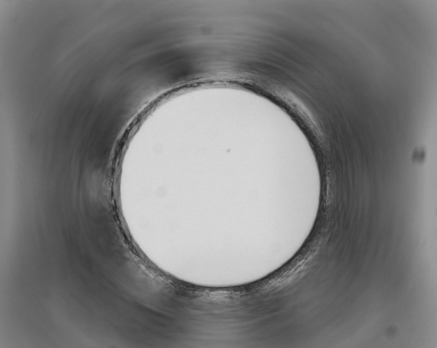 X0000097470828200802220827