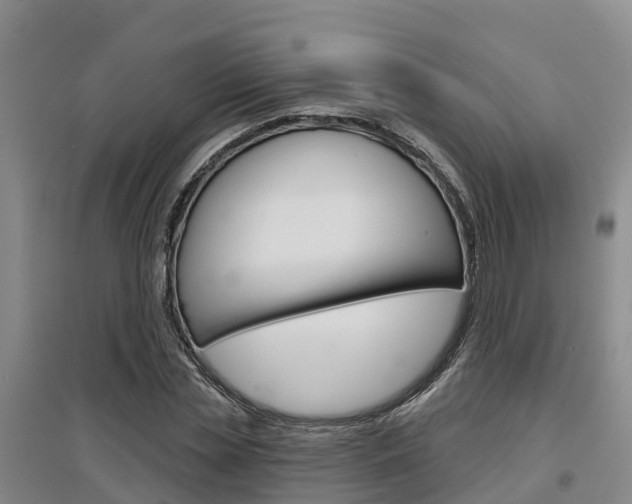 X0000097470829200802220827