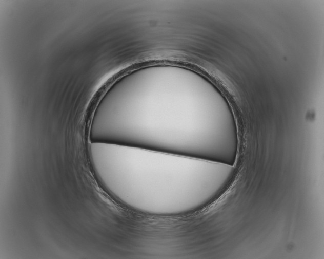 X0000097470830200802220827