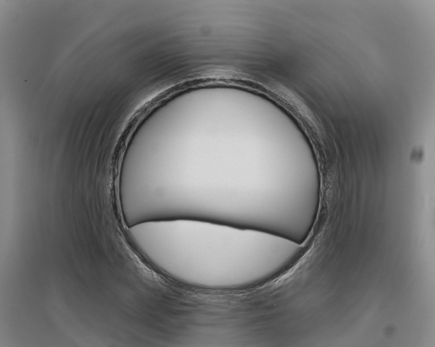 X0000097470831200802220827