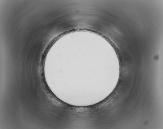 X0000097470832200802220827