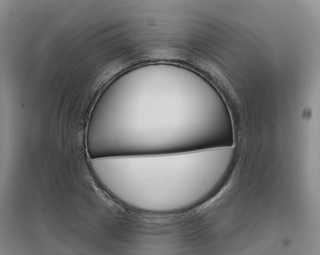 X0000097470833200802220827