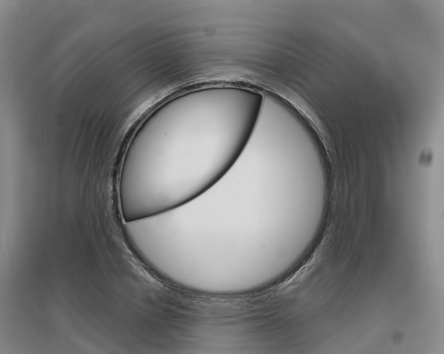 X0000097470834200802220827