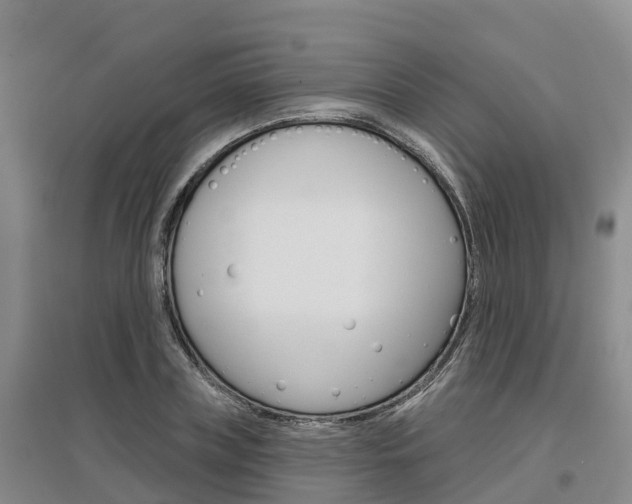 X0000097470835200802220827