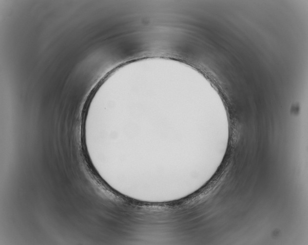 X0000097470836200802220827