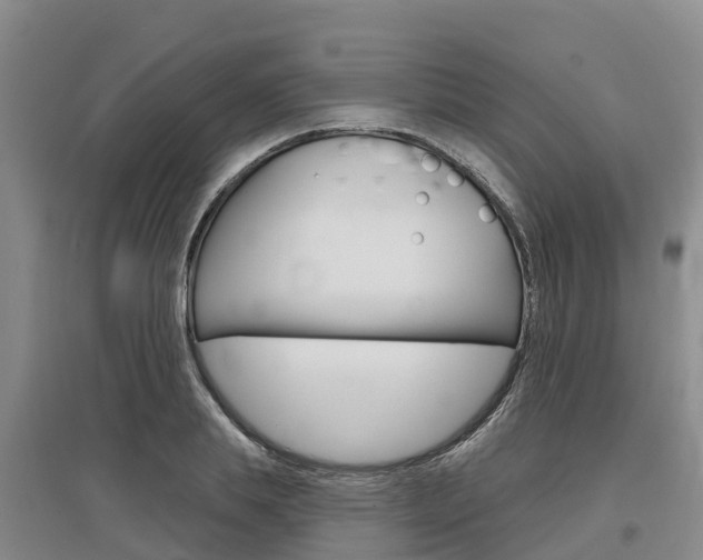 X0000097470839200802220827