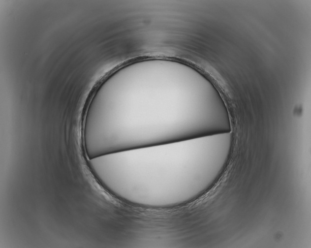 X0000097470840200802220827
