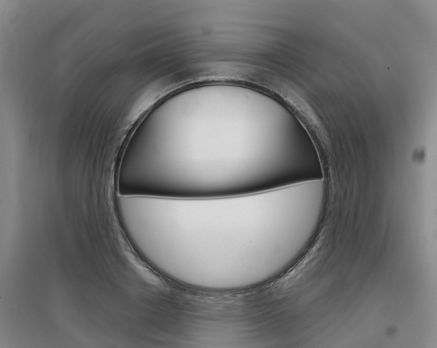 X0000097470842200802220827