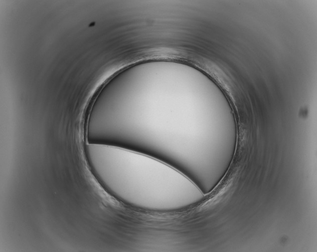 X0000097470843200802220827