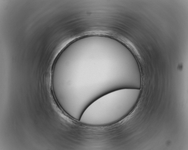 X0000097470844200802220827