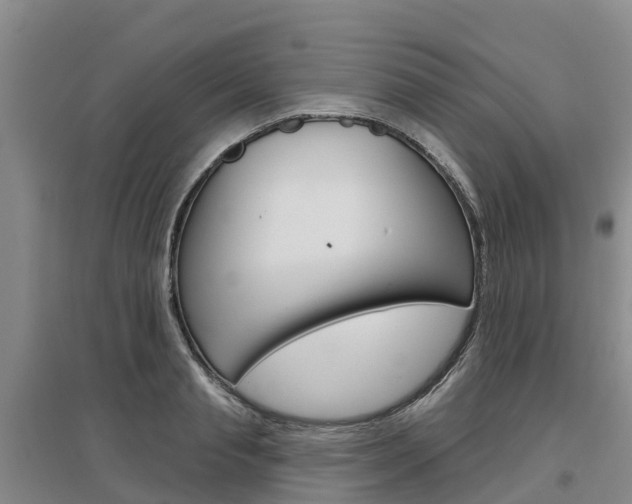 X0000097470845200802220827