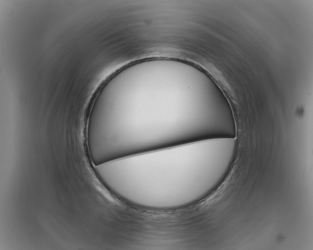 X0000097470846200802220827