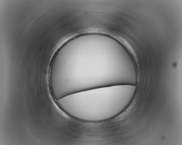 X0000097470847200802220827