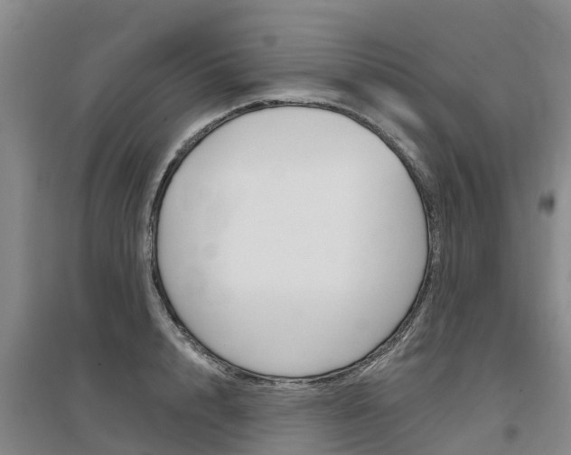 X0000097470848200802220827