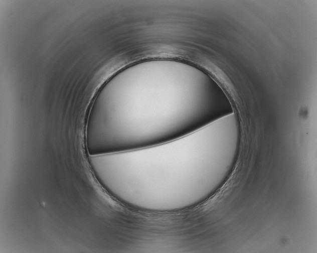 X0000097470850200802220827