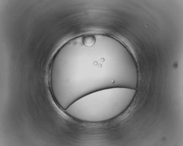 X0000097470851200802220827