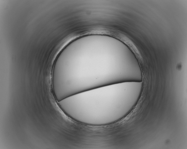 X0000097470852200802220827