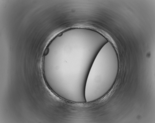 X0000097470855200802220827