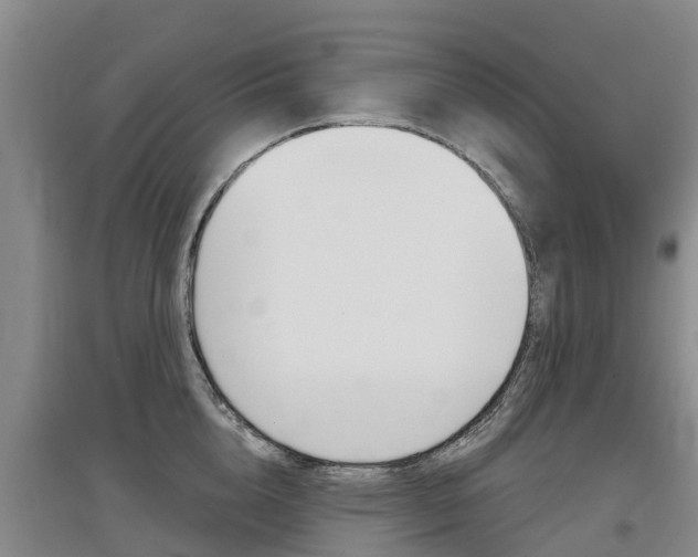 X0000097470856200802220827