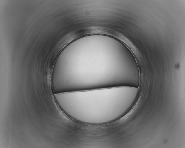 X0000097470857200802220827