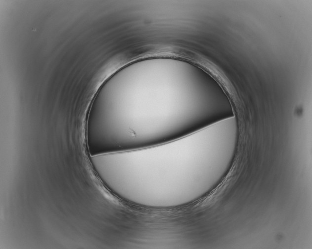 X0000097470858200802220827