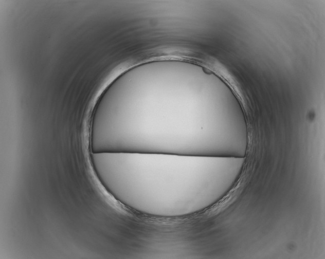 X0000097470859200802220828