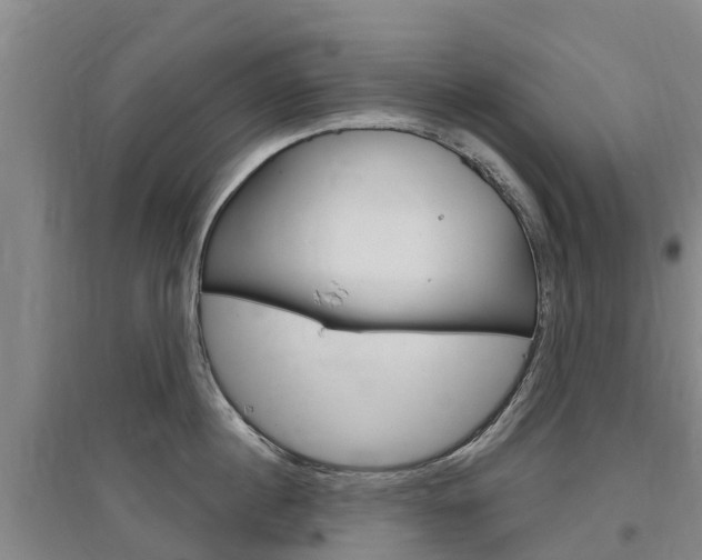 X0000097470860200802220828
