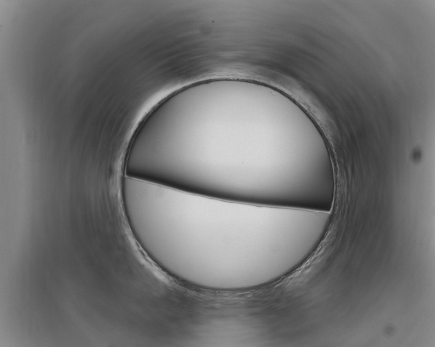 X0000097470862200802220828