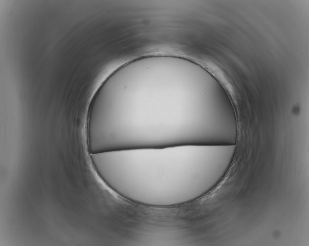 X0000097470863200802220828