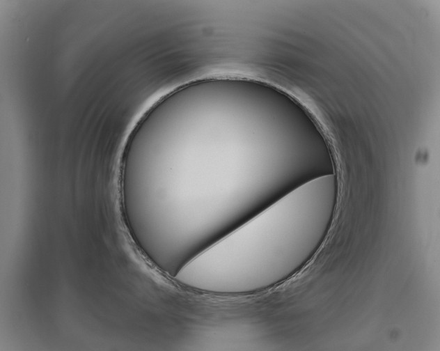 X0000097470864200802220828