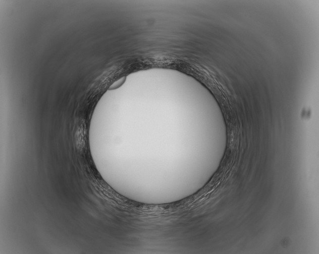 X0000097470866200802220827