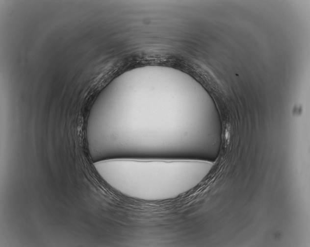 X0000097470867200802220827