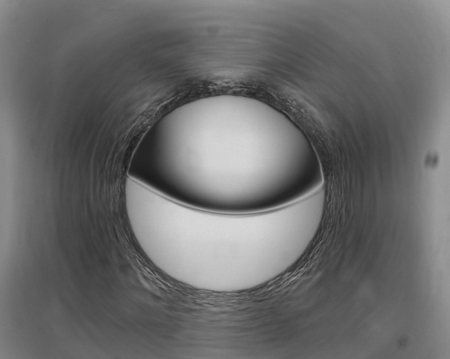 X0000097470868200802220827