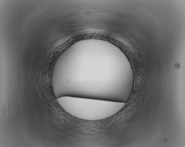 X0000097470869200802220827