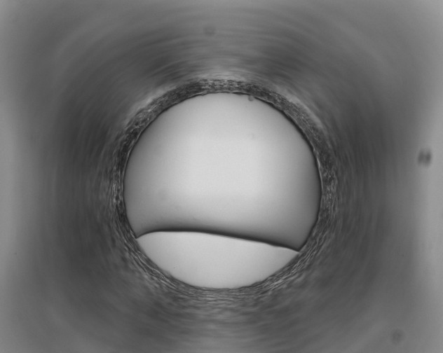 X0000097470870200802220827