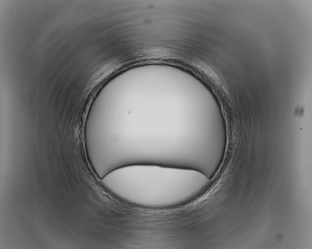 X0000097470873200802220827