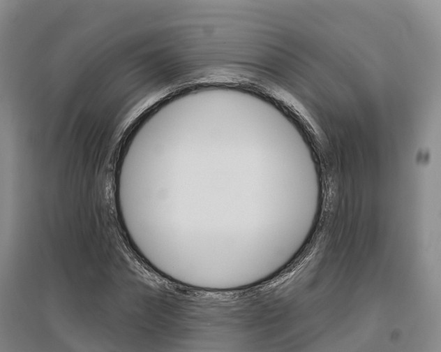 X0000097470874200802220827