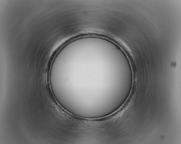 X0000097470877200802220827