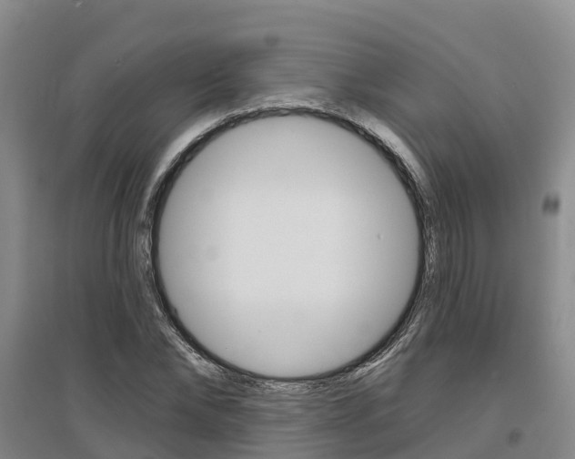 X0000097470878200802220827