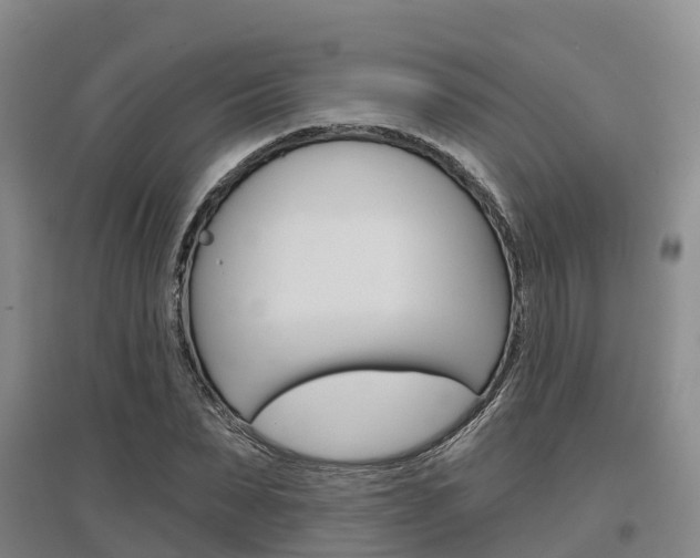 X0000097470879200802220827