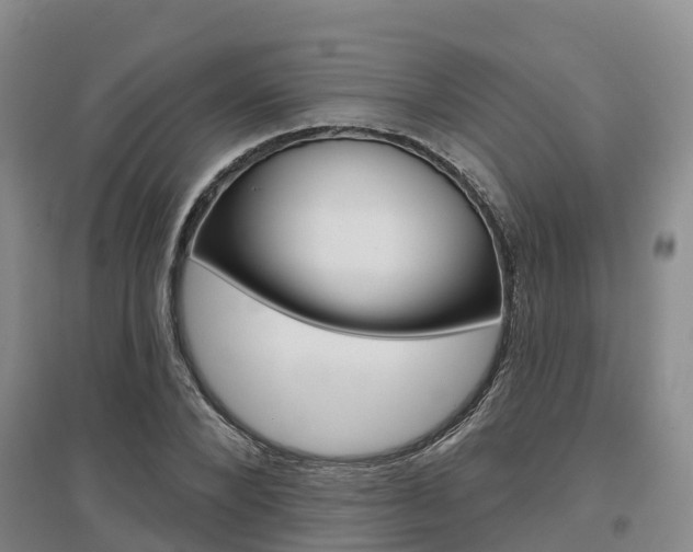 X0000097470880200802220827