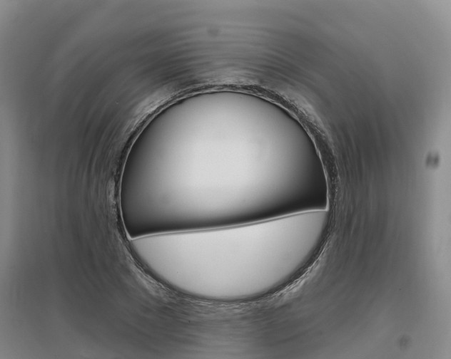 X0000097470881200802220827