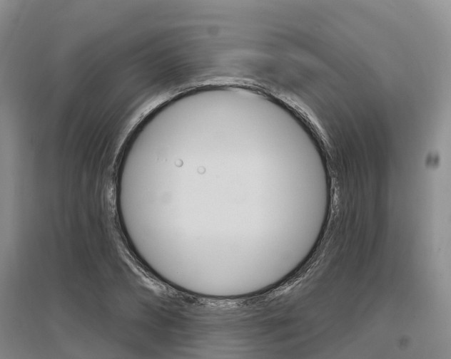 X0000097470882200802220827