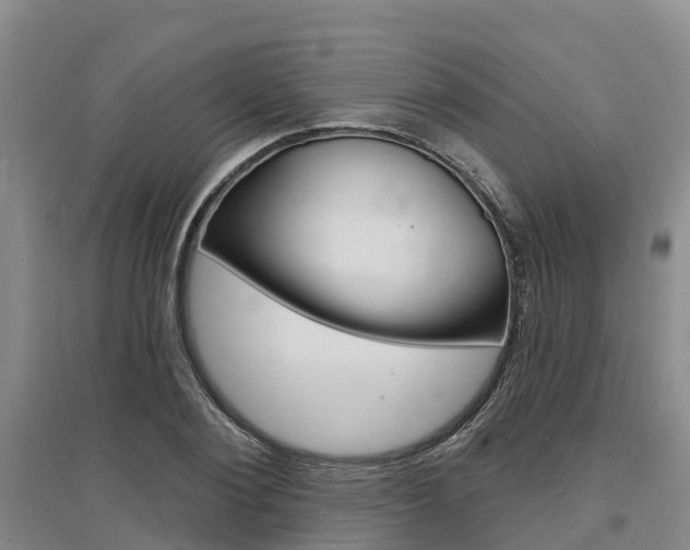 X0000097470884200802220827