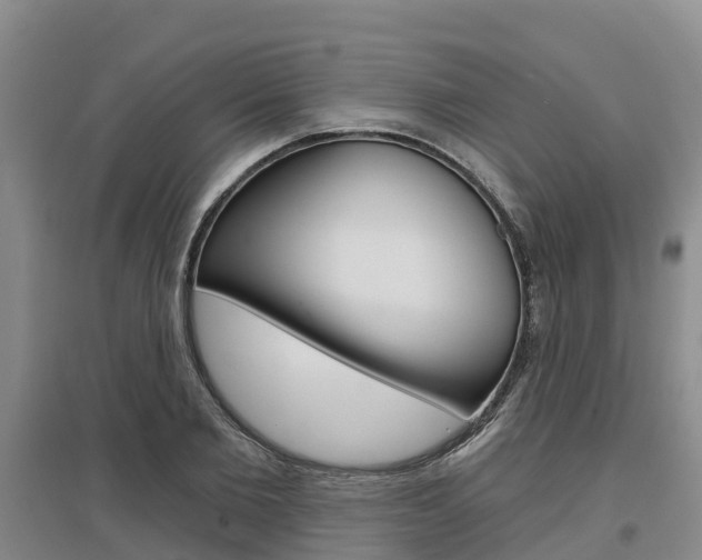 X0000097470885200802220827