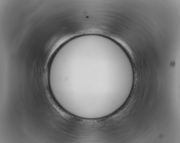 X0000097470886200802220827