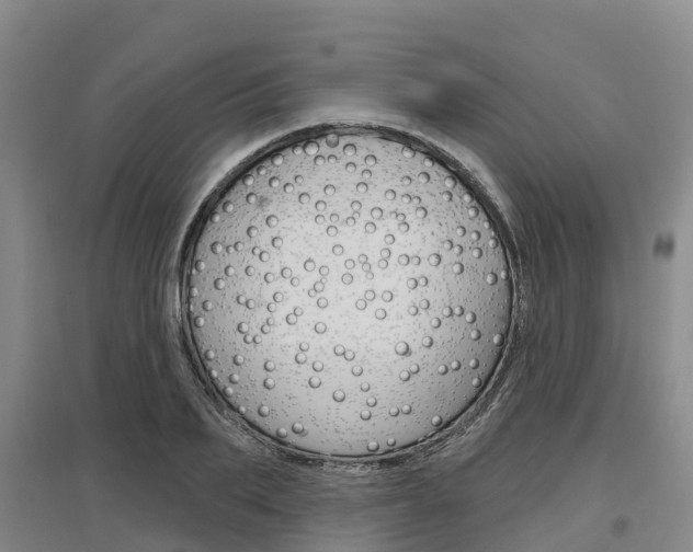 X0000097470887200802220827